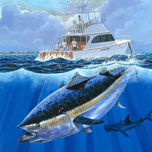 Meet your Posher, Carlos